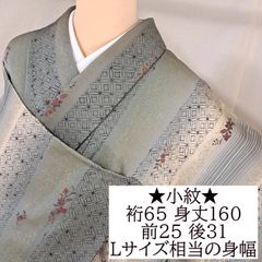 単衣】洗える小紋 塩沢お召し調 グレージュ 幾何×笹葉 157.5/65.5
