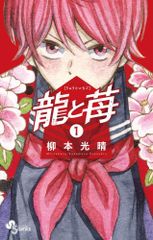 ○【中古】 TOUGH 龍を継ぐ男 1-34巻 セット [集英社] [レンタル落ち