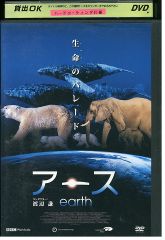 DVD あしたの、喜多善男 vol.1 小日向文世 松田龍平 レンタル落ち
