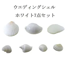 貝殻 置物 7点セット ホワイト ウエディングシェル ウミウサギ 標本 貝 オブジェ インテリア 飾り 置物 水槽用 idswt02ms