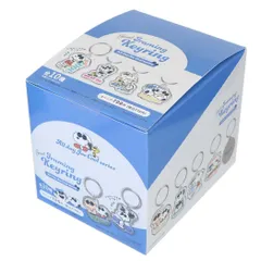 スヌーピー キーリング シークレットフレーミングキーリング 全10種10個入セット All day Joe cool series ピーナッツ コレクション雑貨 まとめ買い キャラクター グッズ 