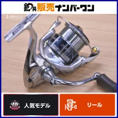 2026年最新】ストラディック 2500hgsの人気アイテム - メルカリ