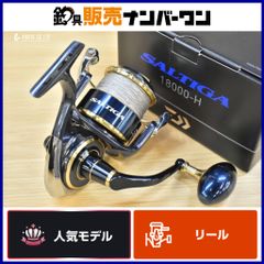 ダイワ 20ソルティガ14000-XH オッズポート4号300m - メルカリ