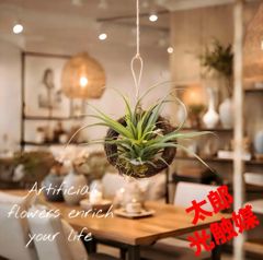 光触媒 観葉植物 ウォールグリーン フェイクグリーン フィットニア