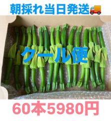 北海道道東産天然ラワンブキ - メルカリ