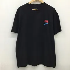 THE NORTH FACE ザノースフェイス Tシャツ 半袖 NT32033