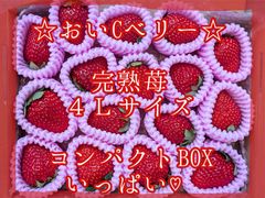 期間限定‼️ 【クール便送料込】スターナイト朝採いちご1箱4パック入
