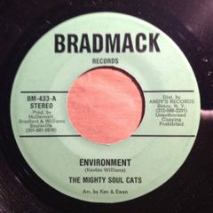 超レア レコード dj krush guru b-boy mastamind - メルカリ