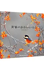 2026年最新】菅野明美のカントリードールの人気アイテム - メルカリ