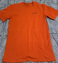 パタゴニア 半袖 Tシャツ