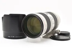 2026年最新】ef70-200mm f2.8l is iii usmの人気アイテム - メルカリ