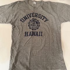 入手困難】WAREHOUSE HAWAII SURFER 半袖スウェット M - メルカリ
