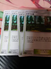 トキワの森 4枚のサムネイル