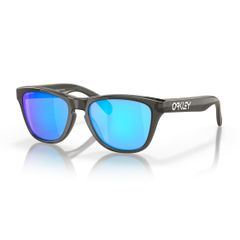 極美品】WTAPS OAKLEY Frogskins サングラス テンプル黒 - メルカリ