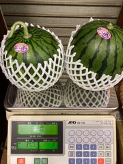 鮮度抜群。鳥取県産 姫 甘泉小玉スイカ1箱 約10kg。4〜5玉。 - メルカリ