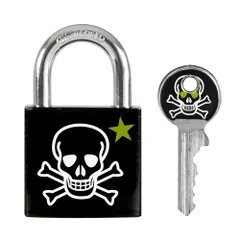 Master Lock (マスターロック) 南京錠 鍵式 小型 プリント 本体幅30mm 吊高内径18mm メタル 防犯 3430EURDSKULL スカル