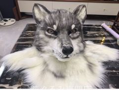 狼 着ぐるみ ケモノ ファースーツ コスプレ コスチューム マスク