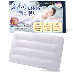 新品未使用◇水の枕AQUAREST 頸椎、整体枕 首、肩のお悩みに 枕カバー