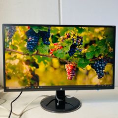 HP N246v ワイドディスプレイ 本体 - メルカリ