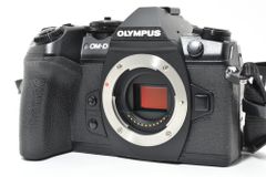 極上品 Nikon ニコン Z6 II ボディ ミラーレス一眼カメラ シャッター数