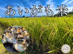 みやまくわがた様専用 シーボン化粧品 2点セット - メルカリ