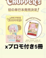 韓国限定】未開封 ピッピ ポケモンプレイマット シューティングスター