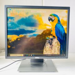 NEC CRTディスプレイ 本体 DV15B2 - メルカリ