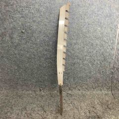 ノコギリエイ 吻 角 歯 骨格標本 剥製 56cm ノコギリザメ アンティーク