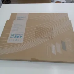 未開封 アムウェイ ATMOHPERE SKY カーボンフィルター アムウェイ アトモスフィア スカイ 空気清浄機用 カーボン脱臭