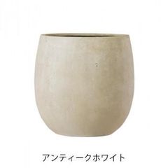 KONTON アビスネブラ ラウンド 8号鉢用 - メルカリ