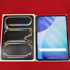美品 iPad PRO M4 本体 256GB WiFi ブラック 11インチ アイパッドプロ