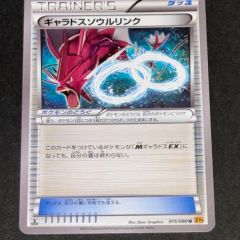 ポケモンカード ボーマンダソウルリンク 258/XY-P プロモ ジム - メルカリ