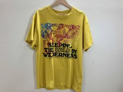 NIKE ACG ナイキ CU7550-709 半袖Tシャツ プリントTシャツ イエロー M