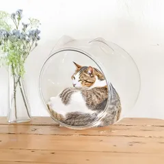 【透明で可愛い】猫ear 猫耳型 スケルトンボール 猫の隠れ家 PET素材 ドーム型ベッドのサムネイル