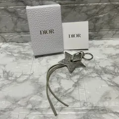 Dior ディオール ノベルティ 星 スター キーホルダー チャーム 箱付き キーリング付き グレー 美品