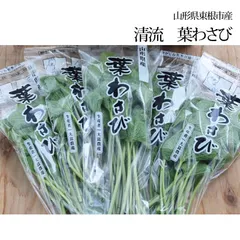 山形県産 葉わさび 75g×10袋 期間限定商品 送料無料 クール便 東根市のサムネイル