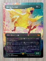 MTG】桃源郷の探求者、チョコ 日本語 ボーダーレス チョコボトラック
