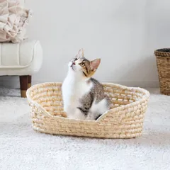 ペットベッド メイズペットバスケット 天然素材 （ バスケット かご ペット用ベッド ペット用バスケット 犬用 猫用 ペット用 ナチュラル おしゃれ お見送り ペットハウス ベッド ハウス キャットハウス ドッグハウス メモリアル )