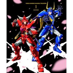 本格構築 光と闇の儀式デッキ ブラックカオス カオスソルジャー 朽ちた