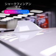 Zテール ランプガード/ボルト付属 テールガード アルフィンZ1 Z2