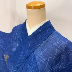 小紋 夏 絽 夏用 洗える着物 裄64.4cm 身丈159.5cm お洒落着 普段着 ポリエステル 青 中古 M サイズ 5560