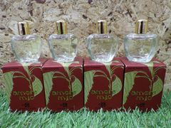 フェンディ テオレマ ウオモ オードトワレ 50ml - メルカリ