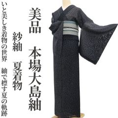 ゆめsaku 夏着物 正絹 紗紬“叶える心地よい夏時間”手縫い夏大島紬 P111