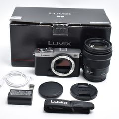 5/6限定価格】LUMIX S9＋SIGMA 24mm F2 DG DN - メルカリ