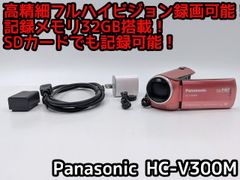 miniDVのダビングに！Panasonicビデオカメラ NV-MX5000 7日間保証付き