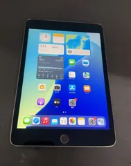 Apple iPad mini 第5世代 64GB Cellular スペースグレイ ++923795