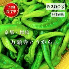 特別栽培】沖縄県産良品 激辛青唐辛子ホットパラソル200g⭐️12時間