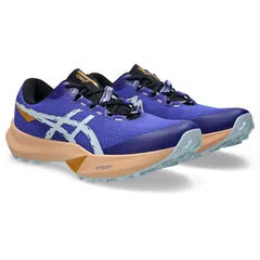 28.5cm、アシックス asics Fuji Lite 6 STANDARD ランニング・陸上競技 シューズ (1011c086-400)