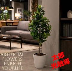 光触媒 人工観葉植物 フェイクグリーン フレッシュマネーツリー1.15m 