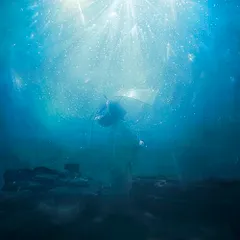 2026年最新】Aqua Timez 海いっぱいに降りしきる星の人気アイテム